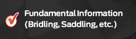 Fundamental Information - (Bridling, Saddling, etc.)